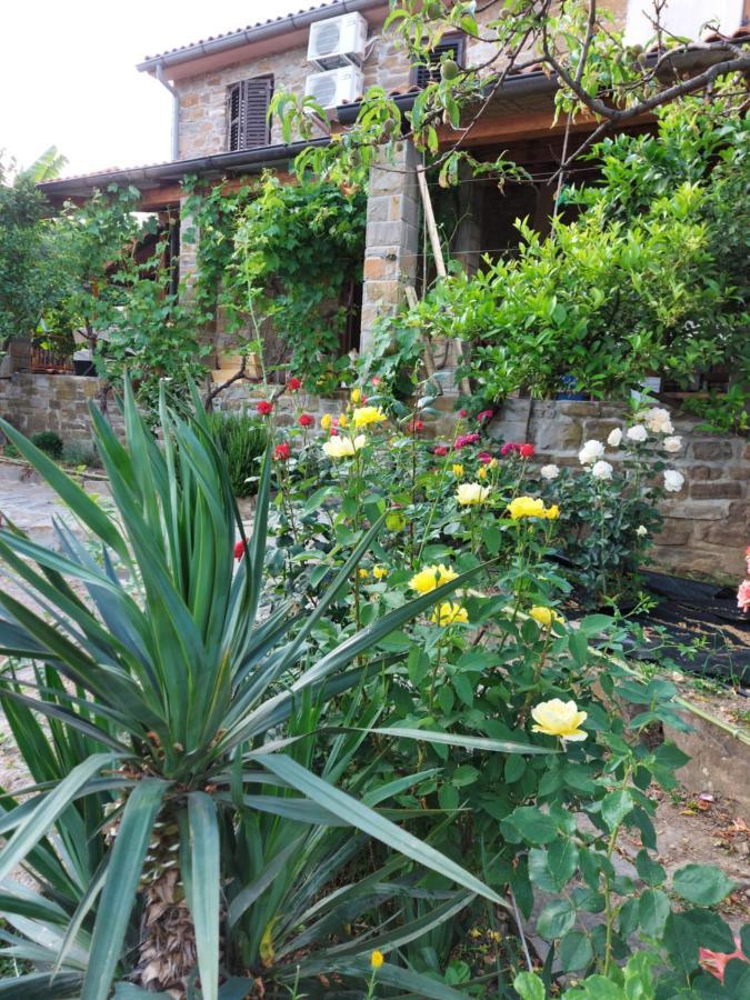 Istrian Stone House With A Big Garden Villa Marezige Bagian luar foto