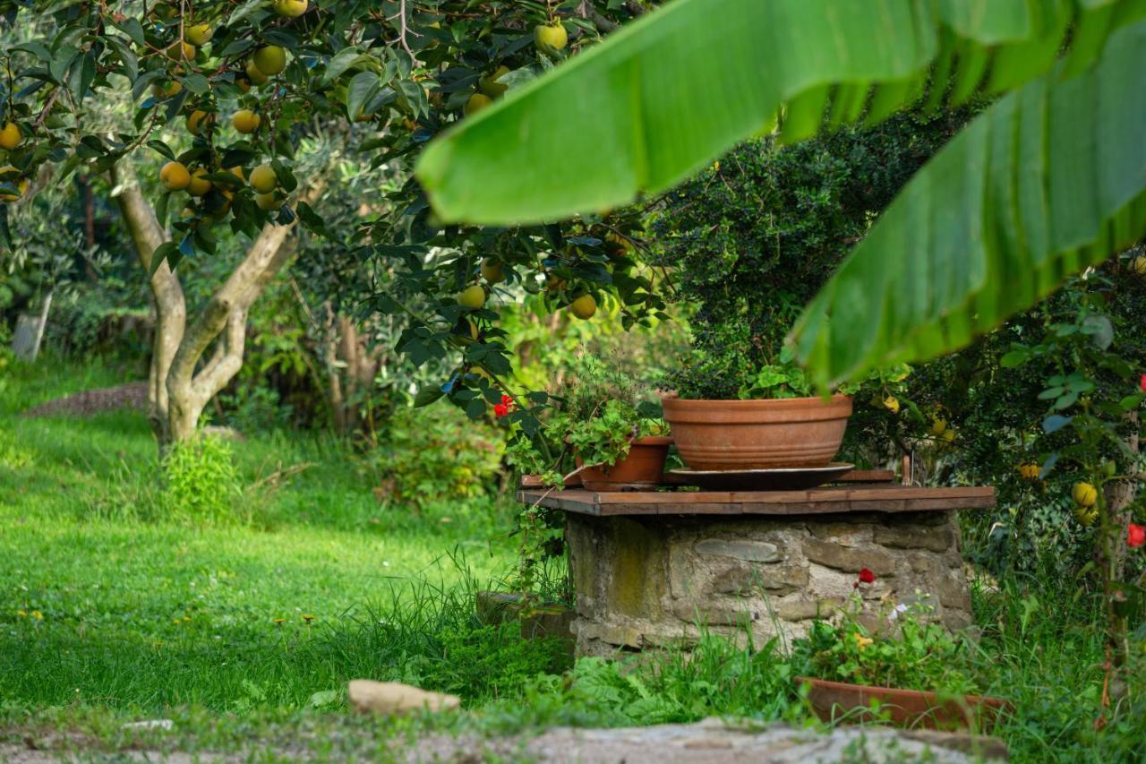 Istrian Stone House With A Big Garden Villa Marezige Bagian luar foto