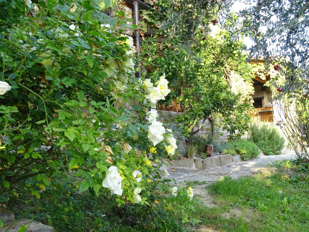 Istrian Stone House With A Big Garden Villa Marezige Bagian luar foto